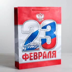 Пакет ламинированный вертикальный «23 февраля!», S 12 × 15 5,5 см 2557293