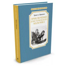 Чтение-лучшее учение Махаон Переплет 140х210 Д?Эрвильи Э. Приключения доисторического мальчика