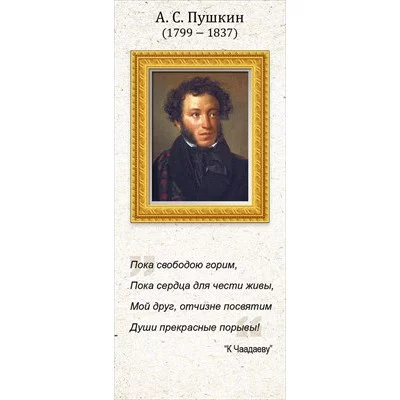 Магнитная закладка "А.С. Пушкин" 63.481.00