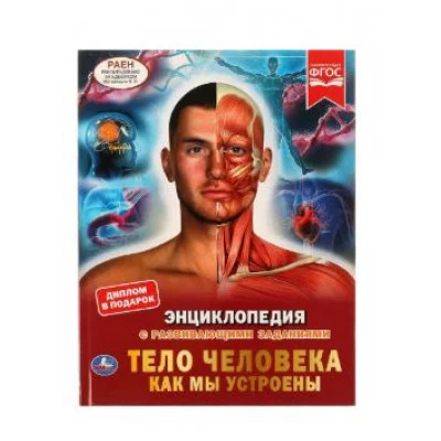 Тело человека Как мы устроены Энциклопедия А4 197х255мм 48 стр мелов бумага Умка 978-5-506-06260-8