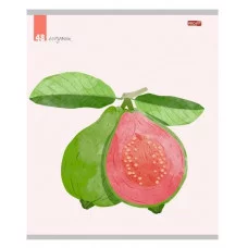 Тетрадь КЛЕТКА 48л.ФРУКТЫ И ЯГОДЫ - 1 (48-3799) цвет. мелов. обл. 48-3799