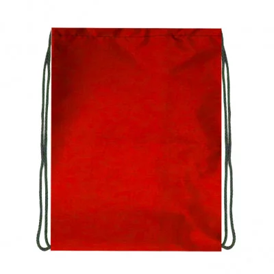 Мешок для обуви 33х38см,"Красный", 1 отд., однотонный, нейлон 2019-30 284263
