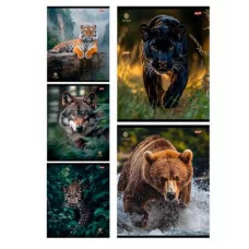 Тетрадь КЛЕТКА 48л. РАЗНЫЕ ХИЩНИКИ (48-3802) цвет. мелов. обл. 48-3802