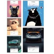 Тетрадь ЛИНИЯ 18л. МИКС-4293 (18-4315) обл.-мел.карт, 18-4315