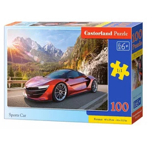Пазлы 100 "Спорткар" (10012020/140219/0014914, Польша)