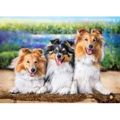 Пазлы 200 Premium Собаки в саду 411268