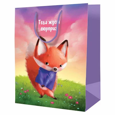 Пакет подарочный 1шт 18*23*10см ArtSpace "Тебя ждет сюрприз", ламинированный 340264