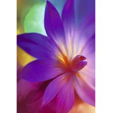 Книга для записей А5 80л "Вдохновение!" КанцЭксмо КЗ5804058