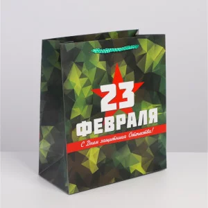 Пакет ламинированный горизонтальный «Защитник», ML 23 × 27 11,5 см 7112465