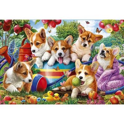 Алмаз. мозаика (класс) 40х50 см, с подр., с полн. заполн. (30цв.) Щенки корги в саду (Арт. НД-8610)