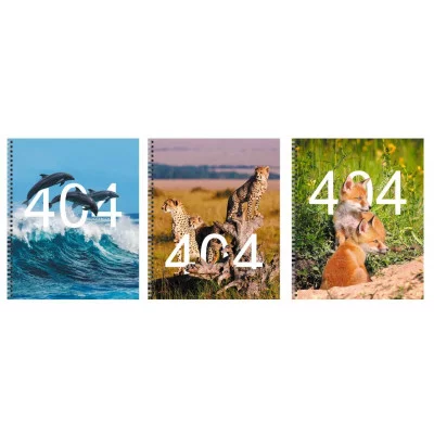 Тетрадь А5 48л "Not Found" КанцЭксмо ТСЛ488441