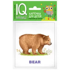 Умный малыш. ENGLISH. Зоопарк Айрис