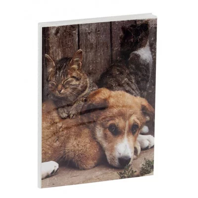 Фотоальбом 36 фото 10*15см, ArtSpace "Friends", мягкая обложка 324642