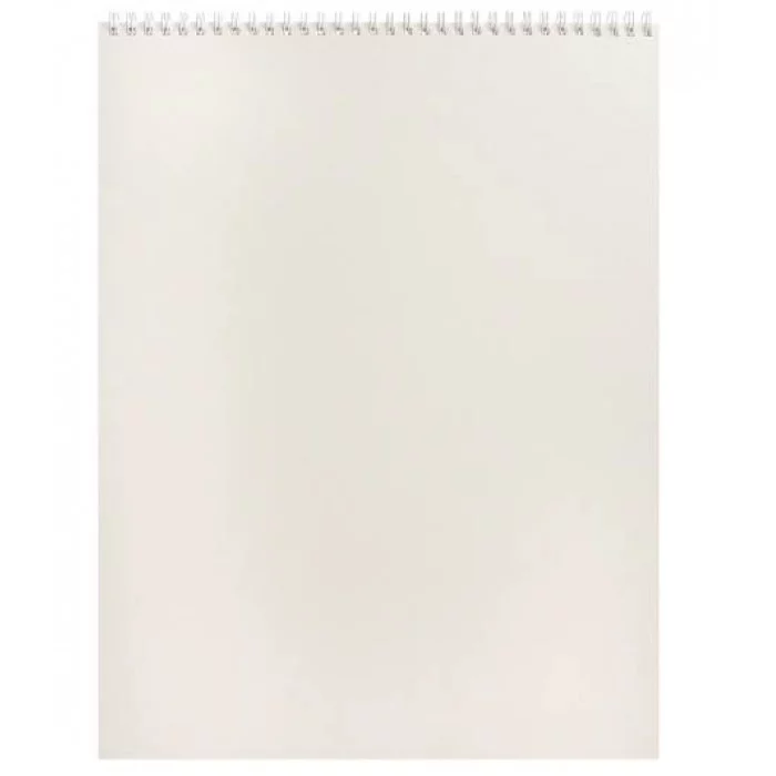 Скетчбук А3 100г ЖИЗНЬ ДИНОЗАВРОВ 30-9982 гребень жесткая подложка 30л