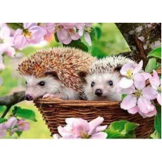 Пазл-midi Castorland "Ежики" 120 элементов 3319/B6-13319