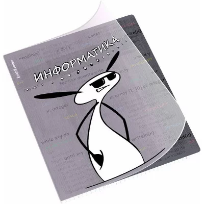 Тетрадь общая ученическая с пластиковой обложкой на скобе ErichKrause Чубрик, Информатика, 48 листов, клетка 59479