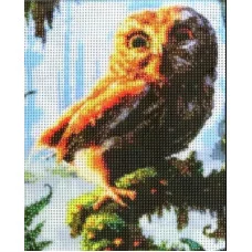Алмазная мозаика СОВА, холст 25х30 см (размер выкладки 20х25 см), ОПП-упаковка M-11517