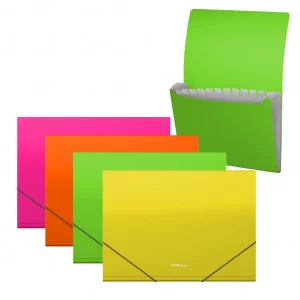Папка-картотека пластиковая ErichKrause Matt Neon, с 13 отделениями, A4, ассорти 1шт 50428