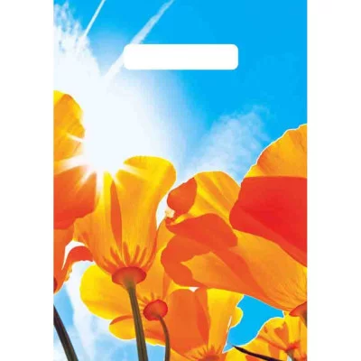 Пакет полиэтиленовый вырубной "Лазурь" (20х30 см) ВНР48710