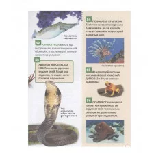 Удивительные животные. Энциклопедия российского школьника Росмэн 978-5-353-11005-7