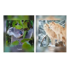 Тетрадь А5 80л "В дикой природе" КанцЭксмо ТСЛ807697