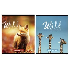 Тетрадь 96 л. А5 кл. скреп. офс.№2 Creativiki ДИКИЕ ЖИВОТНЫЕ мел. карт., ВД-лак, эконом 260438