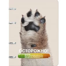 Тетрадь (студ., офис) А5 100л "Дай пять!" КанцЭксмо ТК2Л1005189