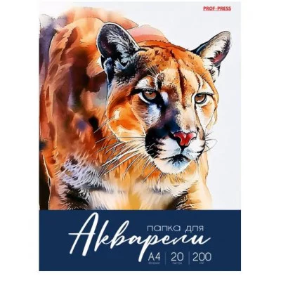 Папка ДЛЯ АКВАРЕЛИ А4 РАЗНООБРАЗНАЯ АКВАРЕЛЬ - 5 (20-2247) цветная обл. 20л. 200г/м2 20-2247