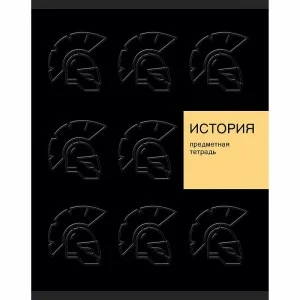 Тетрадь предметная "New Black" 48л. Скрепка. Клетка soft-touch Бум. оф60г. New Black. История ТТЛ489342