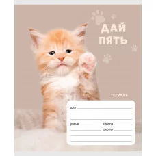 Тетрадь А5 24л "Дай пять!" КанцЭксмо ТЛЛ248971