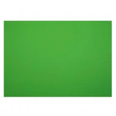 Картон плакатный 48*68см, Мульти-Пульти, 1л., мелованный в пакете, зеленый, 380г/м2 Разбор359388