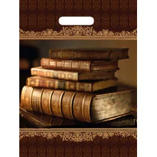 Пакет вырубной Книги (40*31 см) н00113566