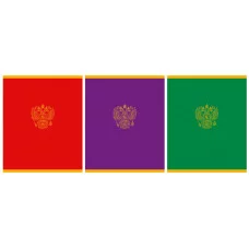 Тетрадь А5 48л "Государственная символика" КанцЭксмо ТК489039