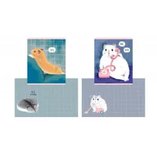 Тетрадь А5 48л "Хомяки" 1шт КанцЭксмо ТК489298