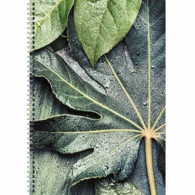 Тетрадь (студ., офис) А4 80л "Листья"  КанцЭксмо