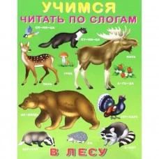 В лесу, Фламинго, Серия "Учимся читать по слогам" 9785783329029