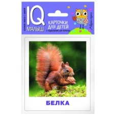 Набор карточек Умный малыш. Кто живёт в лесу? АЙРИС-пресс 511810