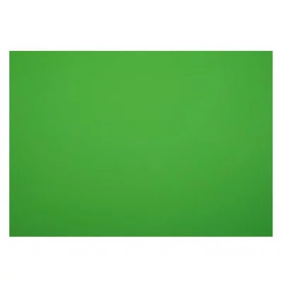 Картон плакатный 48*68см, Мульти-Пульти, 1л., мелованный в пакете, зеленый, 380г/м2 Разбор359388