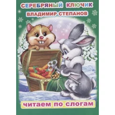 Книга. Читаем по слогам. Мелованная. В.Степанов Серебряный ключик 6+