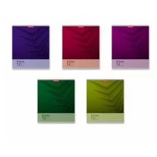 Тетрадь школьная ученическая ErichKrause Duotone Next ассорти 12 листов линейка 56295