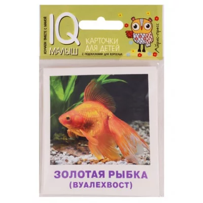 Умный малыш. Аквариумные рыбы. Набор карточек для детей., изд.: Айрис, авт.: Малунова М.В., серия.: Умный малыш ( IQ малыш ) 978-5-8112-6708-8