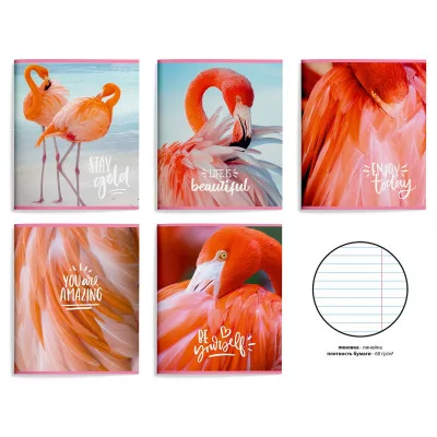 Тетрадь 48 л. А5 лин. скреп. офс. Schoolformat НЕЖНЫЙ ФЛАМИНГО мел. карт., спл. УФ-лак 238738