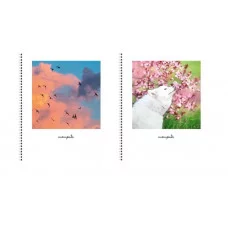 Тетрадь А5 60л "Природный микс" КанцЭксмо ТСЛ608800