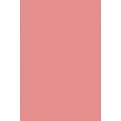 Цв. тонированная бумага А4, 10л. ПЭТ розовый