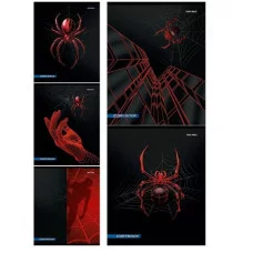 Тетрадь КЛЕТКА 48л. СПАЙДЕР черный (48-1550) цветная мелованная обложка 48-1550