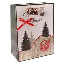 Dream cards Пакет подарочный с мат. лам. и шишкой 18x23 x10 см (M)  Поход за шишками, 210г ПКП-3755