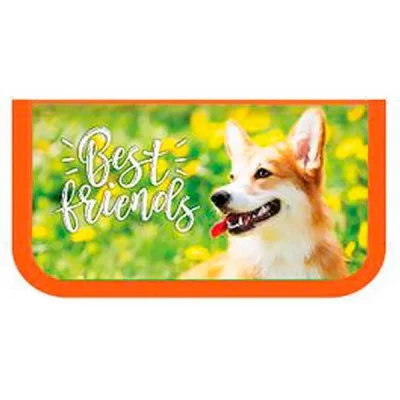 Пенал 3 отделения 190*105 фольг "Корги на солнышке" ПЧЕЛКА ПО-611 066455