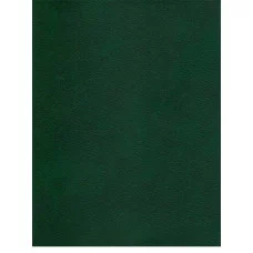 Ежедневник А6, 96л. ЗЕЛЕНЫЙ (96БВ-3000) бумвинил, недатир.