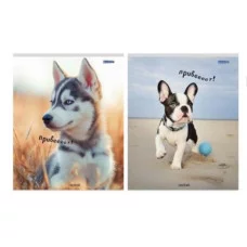 Тетрадь КЛЕТКА 48 л. ПРЕКРАСНЫЕ ЩЕНКИ (48-4165) цвет. мелов. обл. 48-4165