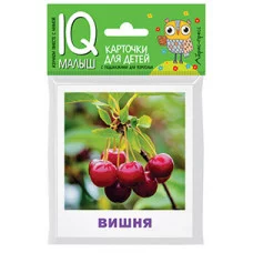 Умный малыш. Что растёт в саду? Набор карточек для детей. / IQ-малыш изд-во: Айрис авт:Ходюшина Н.П.